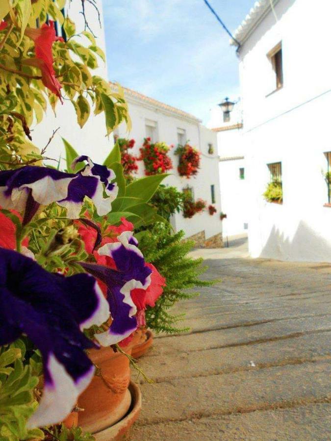 Valleverde Apartament Fuengirola